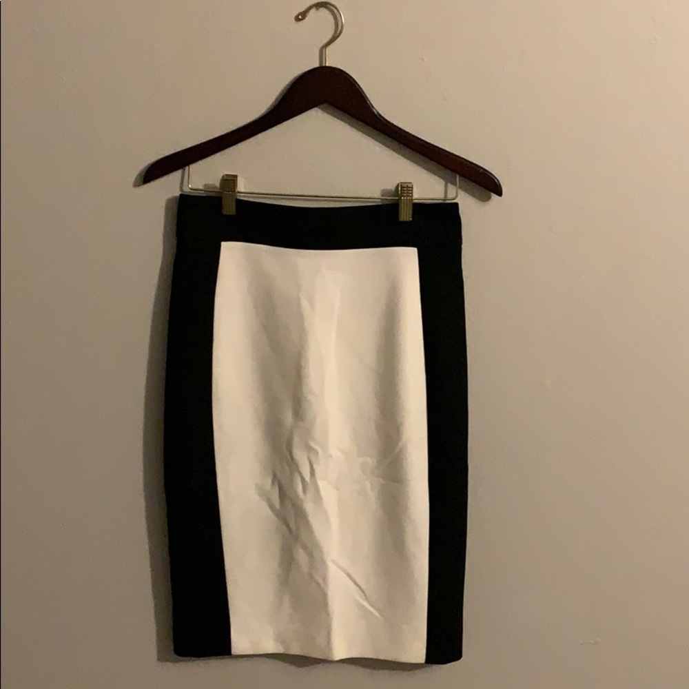Black and White Zara Basic skirt